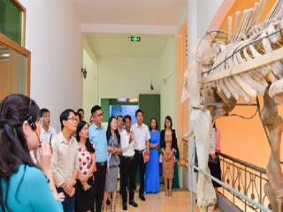 Để Bảo tàng Nghệ An trở thành điểm đến văn hóa hấp dẫn